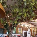 착한셀프식육식당 이미지