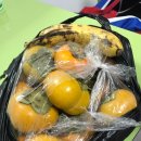 트라움 음악학원 이미지