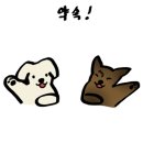 모래내동물병원 이미지