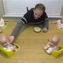 레몬트리 이미지