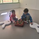 세종체육도장 이미지