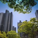 푸른마을로 | 동탄 푸른마을에서 기름떡볶이와 치즈 떡볶이를 해먹은 후기