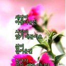 곰소항횟집