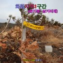 경상북도 영덕군 영덕읍 남석리 69-13 | [화림지맥1구간] 경북 영덕군 (분기봉~삼거리재) 2023.12.16일산행