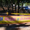 장사해수욕장 야영장 이미지