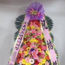 주식회사 드림아이 | 돌잔치 축하화환 배달 후기 – 설치 경험과 리본 문구 실례