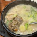 부산돼지국밥(서생) | 부산역돼지국밥 아쉬운후기 <대건명가돼지국밥> 내돈내산 솔직후기