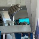 국립해양박물관 | 부산 영도 국립해양박물관 후기, 어린이 박물관까지 아이랑 가볼만한 실내 체험