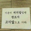 바른정육 네이버블로그