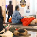곰돌이연합소아청소년과 시사저널