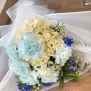 사파동279 이미지