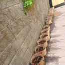 오라초등학교 병설유치원 이미지