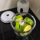 큐브플러스, 한가람푸드 | 국민 이유식 다지기 닌자쵸퍼 대신 선택한 케어프린 쵸퍼, 내돈내산 구매 후기