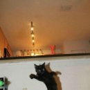 해밀예당1로27 이미지