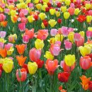 대명설비 이미지