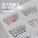 스쿱네일