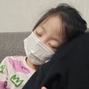 천사꼬마김밥 이미지