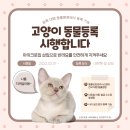 리안 동물병원 이미지