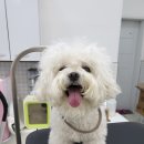 MUNG MOO 이미지