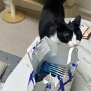 김용희 참치 | 김용희 참치!!단골 참치집 등극😋