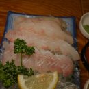 오징어 세상 이미지