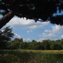 소양강카서비스 | 11월 단풍 여행지 아이와 함께 즐기는 당일치기 코스 총정리