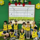 이천남초등학교 이미지