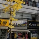 행운부동산중개 이미지