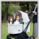 글로리아 켄넬 이미지