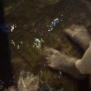 승민목장 이미지