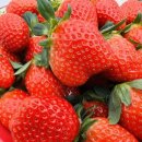 다한농장 이미지