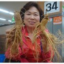 금산수삼센타 이미지