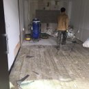 서울애견미용실 이미지