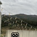 오디오씨(ODOC) - 거제시 | 오디오씨(ODOC)