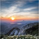 새로운 꿈 이미지