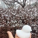 빵꾸똥꾸문구야양주