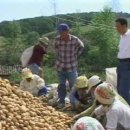 김종기농장 이미지