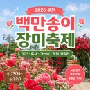 도당초등학교 | [경기도/부천] 부천 장미축제 기간·주차·가는법 총정리 🌹