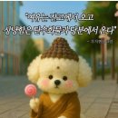 하봉석 대게·
회(환호동점) 이미지