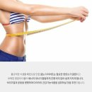 에이스바디 이미지