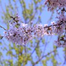 운천저수지 이미지