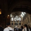 인파니 | 런던여행] 자연사박물관 후기 - 아이들과 본 공룡전시, 그리고 현실 인파