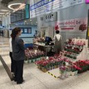 한국전북본부