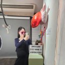 화목컴퓨터 | 셀프만삭촬영 내돈내산 후기 : 만삭촬영시기 가격 준비물 꿀팁