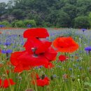 해리당구장 이미지