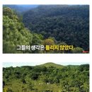 오랜지