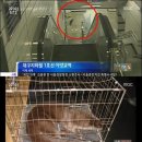 수달 화장실 이미지