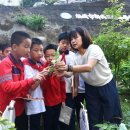 광시초등학교 이미지