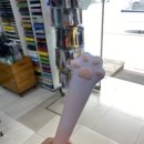 모닝글로리 군산대점 이미지