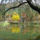 입암식당 이미지